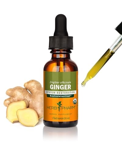 Organic Ginger Liquid Extract for Digestion Support - 1 oz