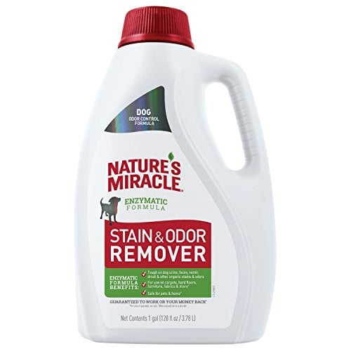 Nature’s Miracle Stain & Odor Remover, 1 Gallon
