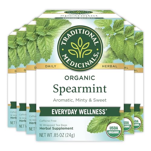 Traditional Medicinals Organic Spearmint Tea, 96 Bags (6 Pack)